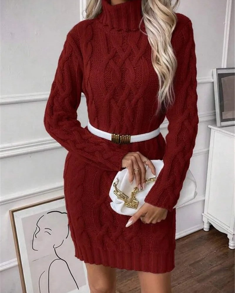 Cirella Cable Knit Turtleneck Sweater Dress