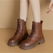 Chestnut